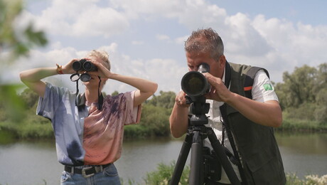 Het Klokhuis | Arend